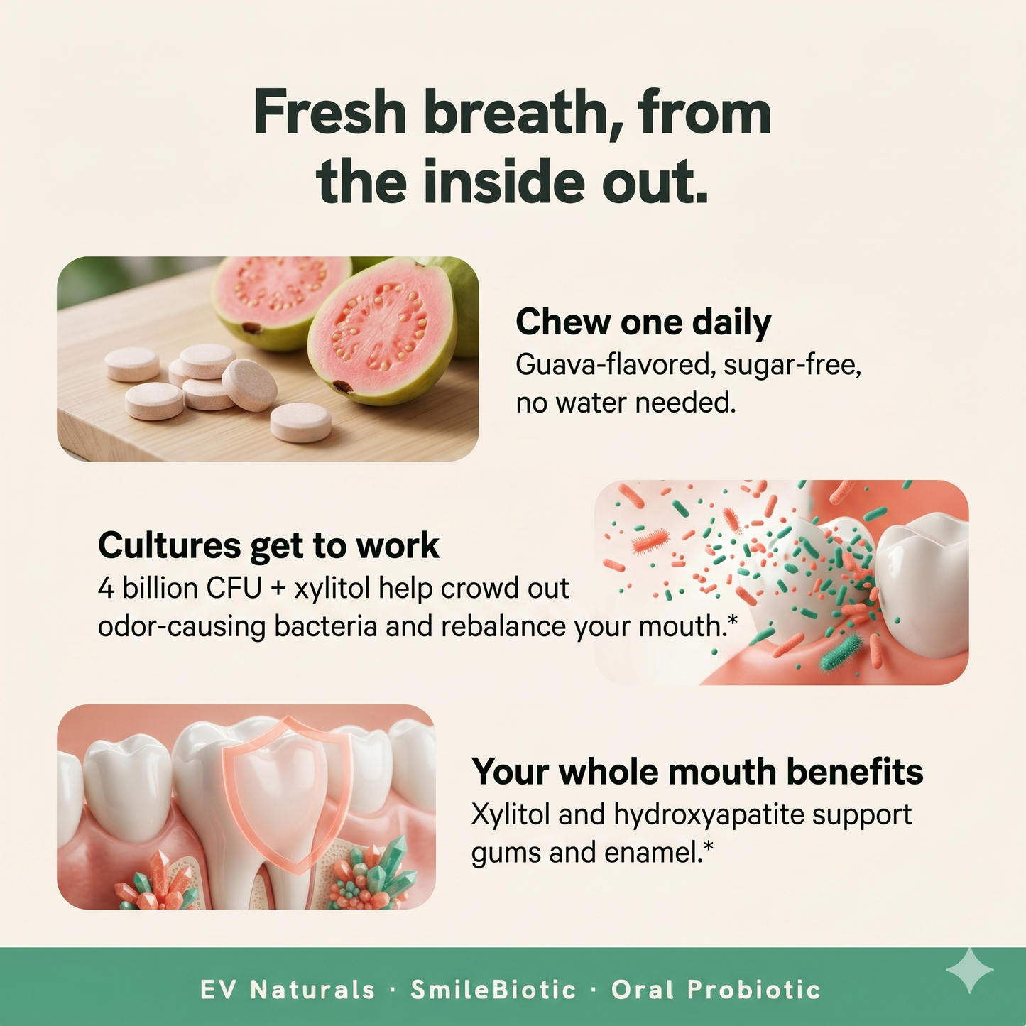 EV Naturals SmileBiotic Oral Probiotic Chewable — Fresh Breath, Healthy Gums & Teeth, Dry Mouth & Tonsil Stone Support — 4 Billion CFU, 3 Strains, 30 Count